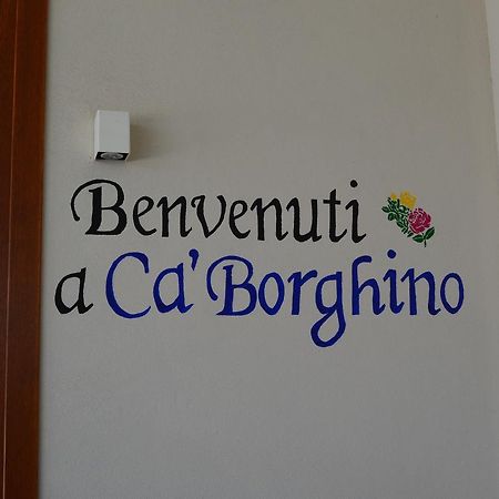 Ca' Borghino Villa อัลบา ภายนอก รูปภาพ