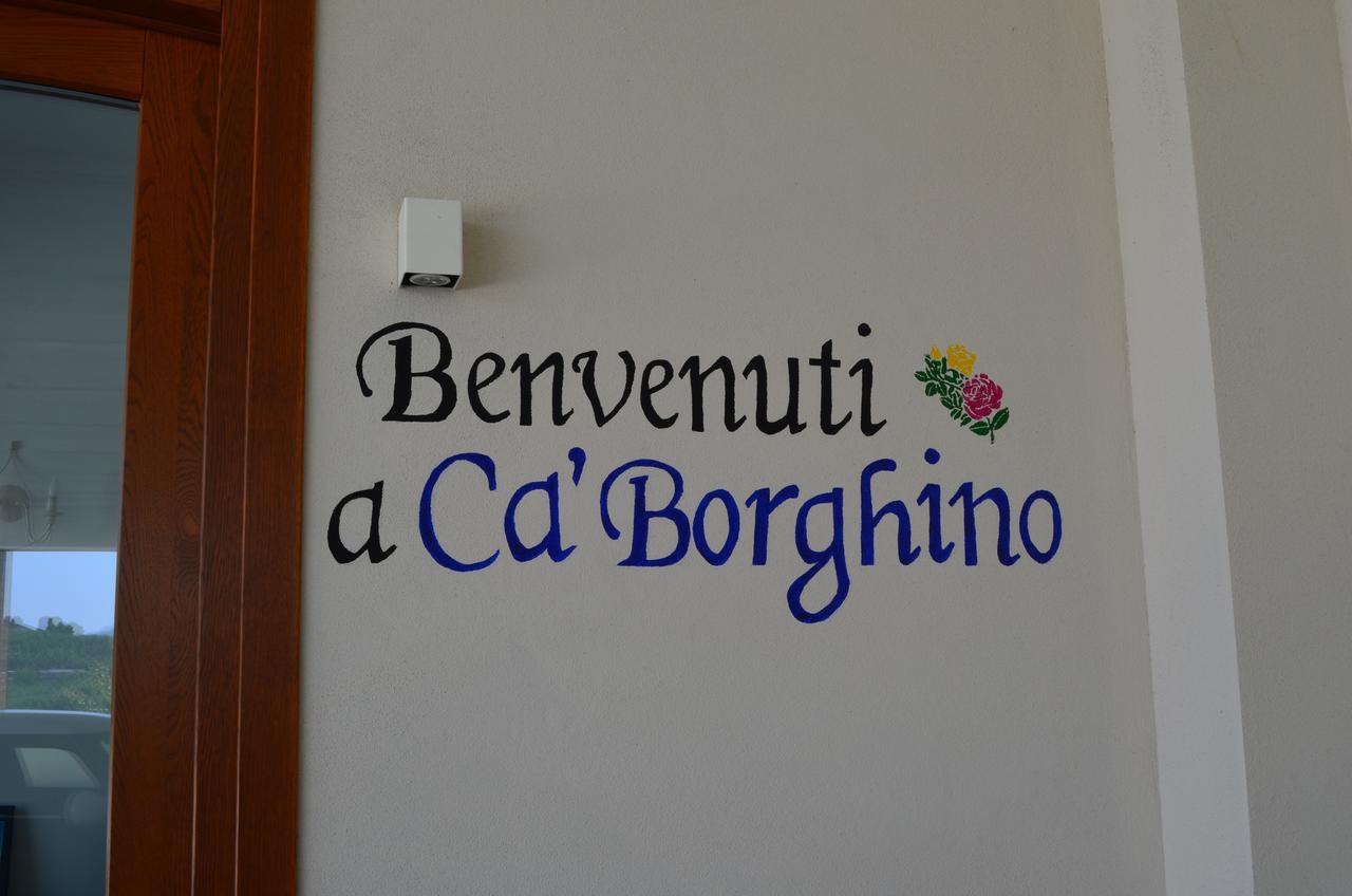 Ca' Borghino Villa อัลบา ภายนอก รูปภาพ