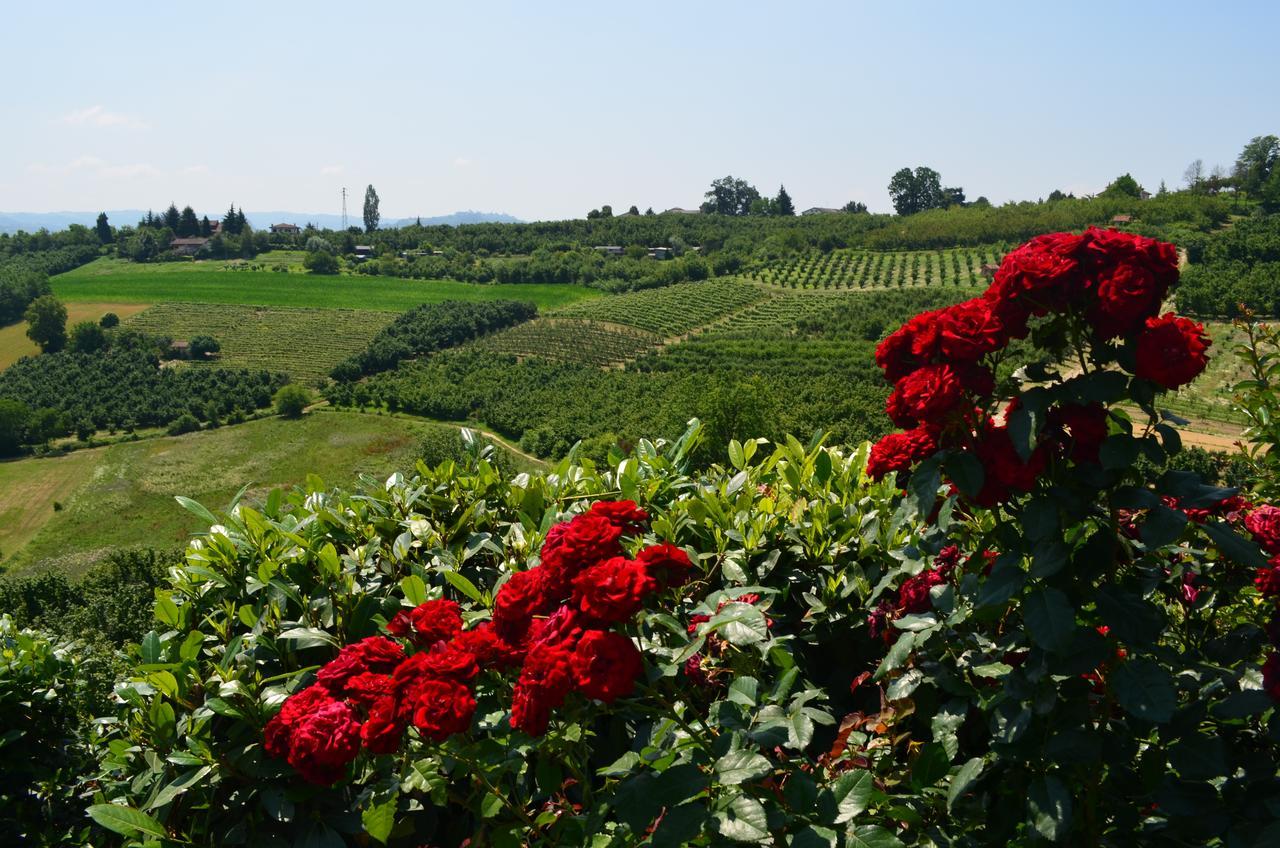 Ca' Borghino Villa อัลบา ภายนอก รูปภาพ